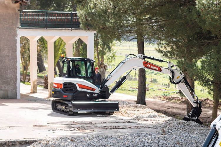 Bobcat